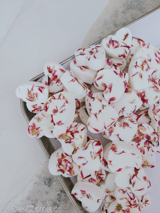 Cranberry Fig Mini bath bomb